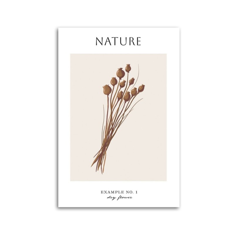 Leinwandbild - Trockene Blume - Natur | Feeby