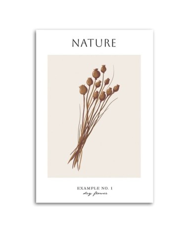 Leinwandbild - Trockene Blume - Natur | Feeby