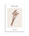 Obraz na płótnie - Wysuszony kwiat - Natura | FEEBY