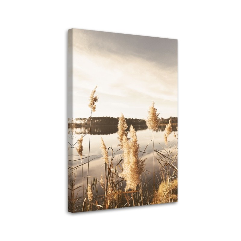 Bild auf Leinwand - Pampasgras am See | Feeby