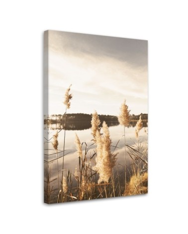 Bild auf Leinwand - Pampasgras am See | Feeby