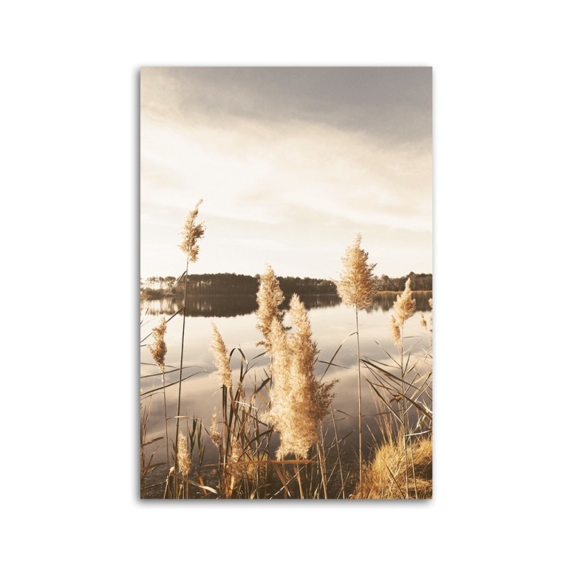 Bild auf Leinwand - Pampasgras am See | Feeby