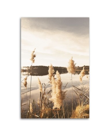 Bild auf Leinwand - Pampasgras am See | Feeby