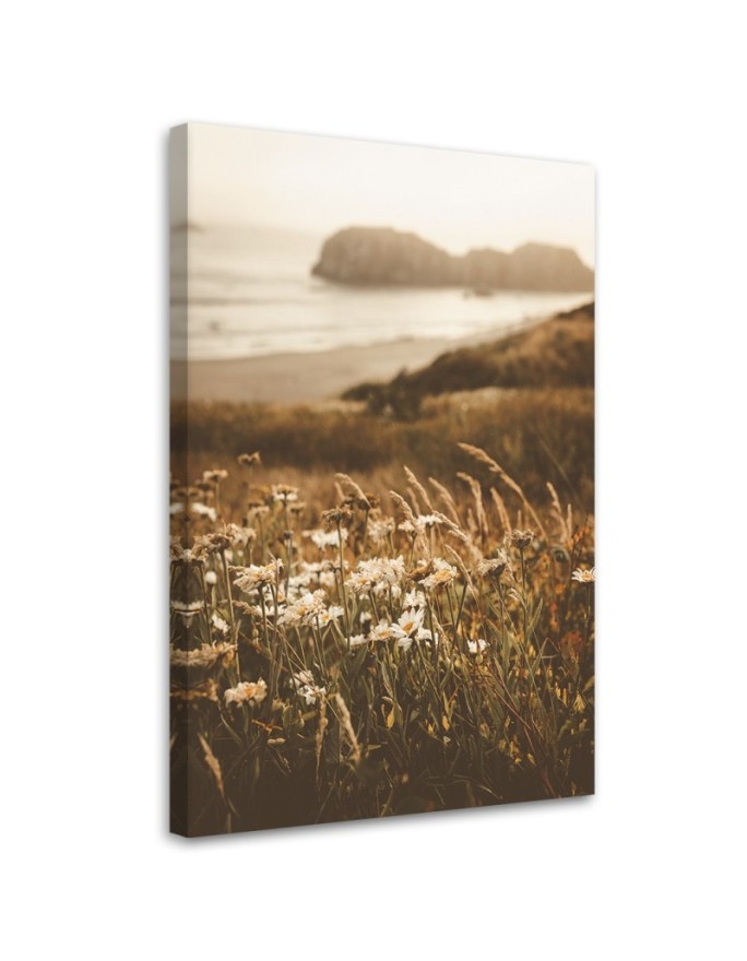 Dekoratives Leinwandbild - Blumen am Meeresufer | Feeby