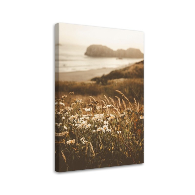 Dekoratives Leinwandbild - Blumen am Meeresufer | Feeby