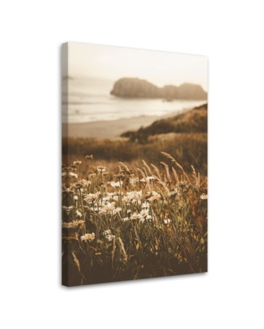 Dekoratives Leinwandbild - Blumen am Meeresufer | Feeby