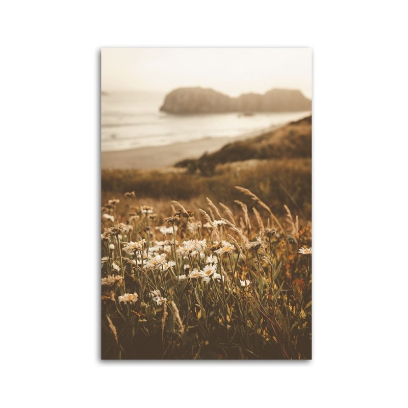 Dekoratives Leinwandbild - Blumen am Meeresufer | Feeby