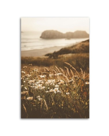 Dekoratives Leinwandbild - Blumen am Meeresufer | Feeby