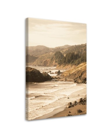 Modernes Wandbild - Wald am Meeresufer | Feeby