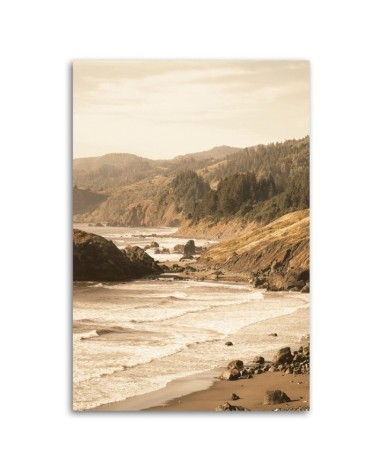 Modernes Wandbild - Wald am Meeresufer | Feeby