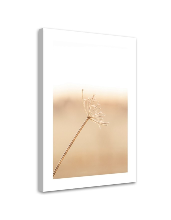 Leinwandbild - Ein einsamer Löwenzahn | Feeby