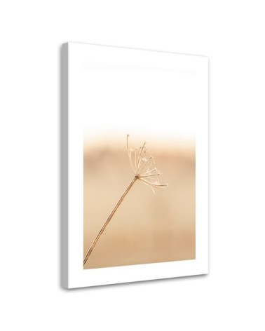 Leinwandbild - Ein einsamer Löwenzahn | Feeby