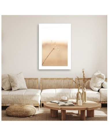 Leinwandbild - Ein einsamer Löwenzahn | Feeby