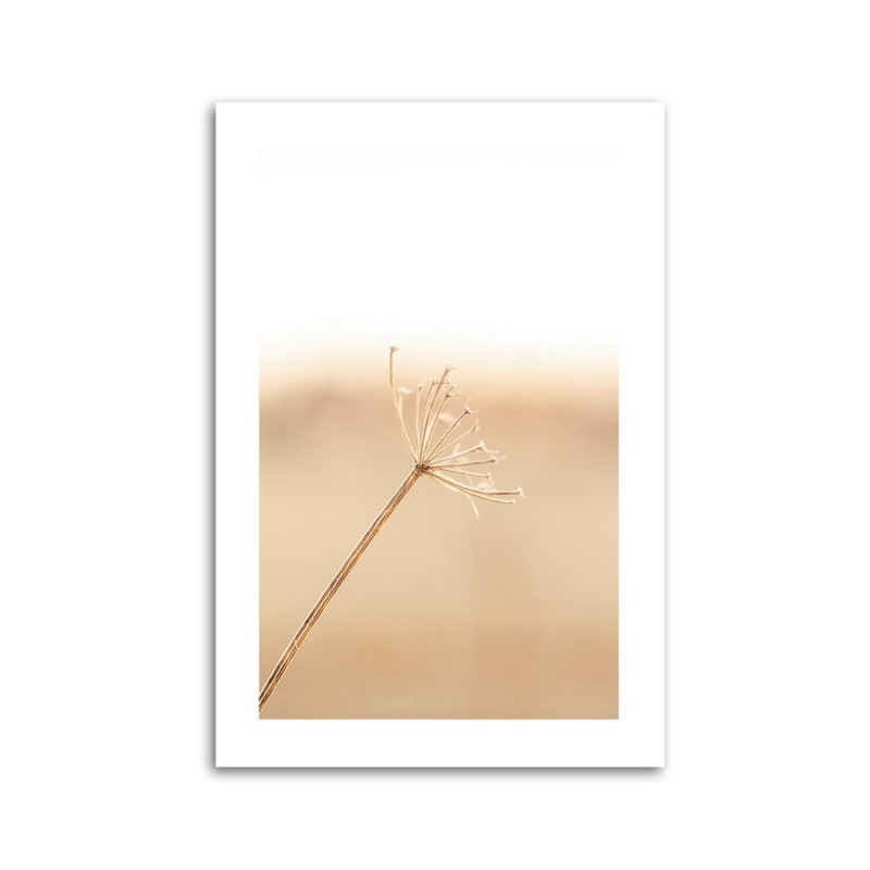 Leinwandbild - Ein einsamer Löwenzahn | Feeby