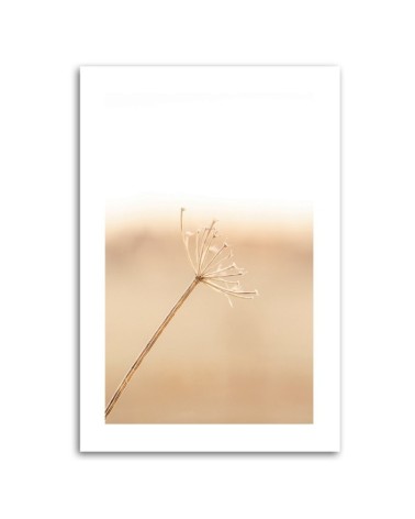 Leinwandbild - Ein einsamer Löwenzahn | Feeby