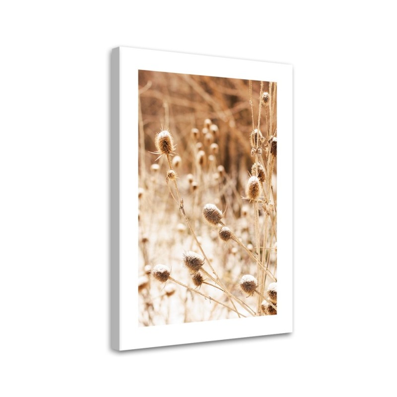 Leinwanddruck - Getrocknete Wiese mit Teebaumblüten | Feeby
