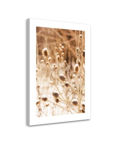 Canvas painting - Dried meadow | FEEBY