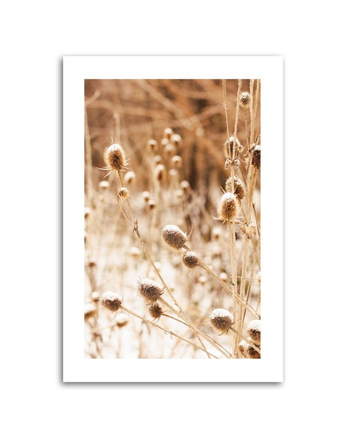 Canvas painting - Dried meadow | FEEBY
