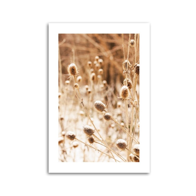 Leinwanddruck - Getrocknete Wiese mit Teebaumblüten | Feeby