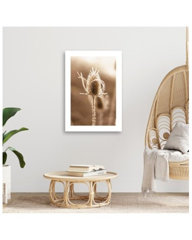 Obraz na płótnie - Oset w skali makro | FEEBY