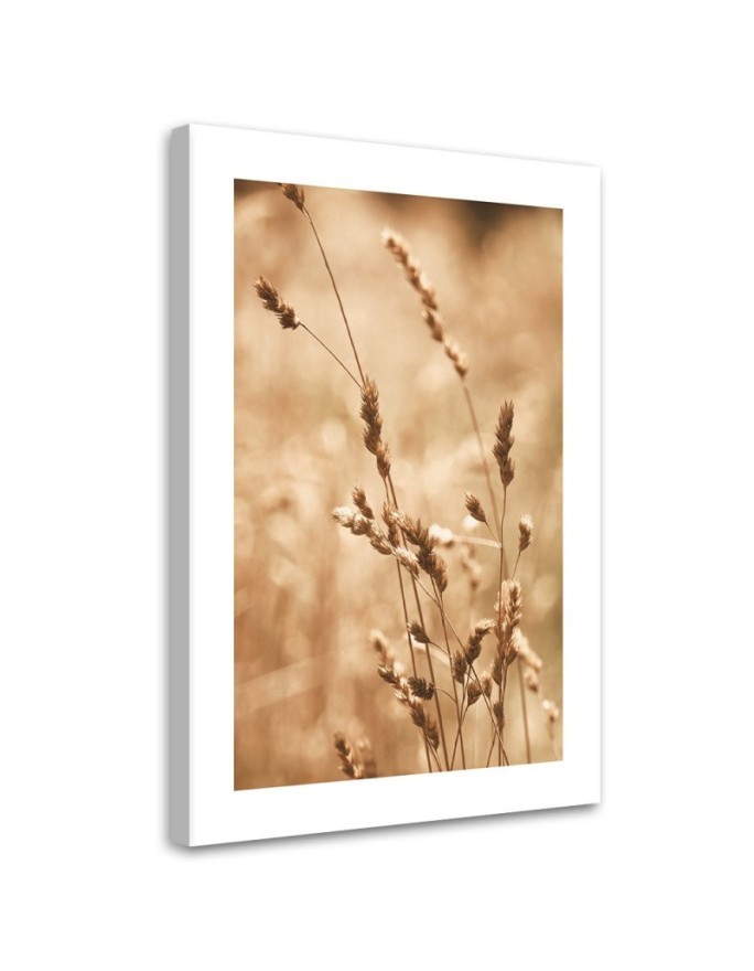 Modernes Wandbild - Gras Natur Wiese | Feeby