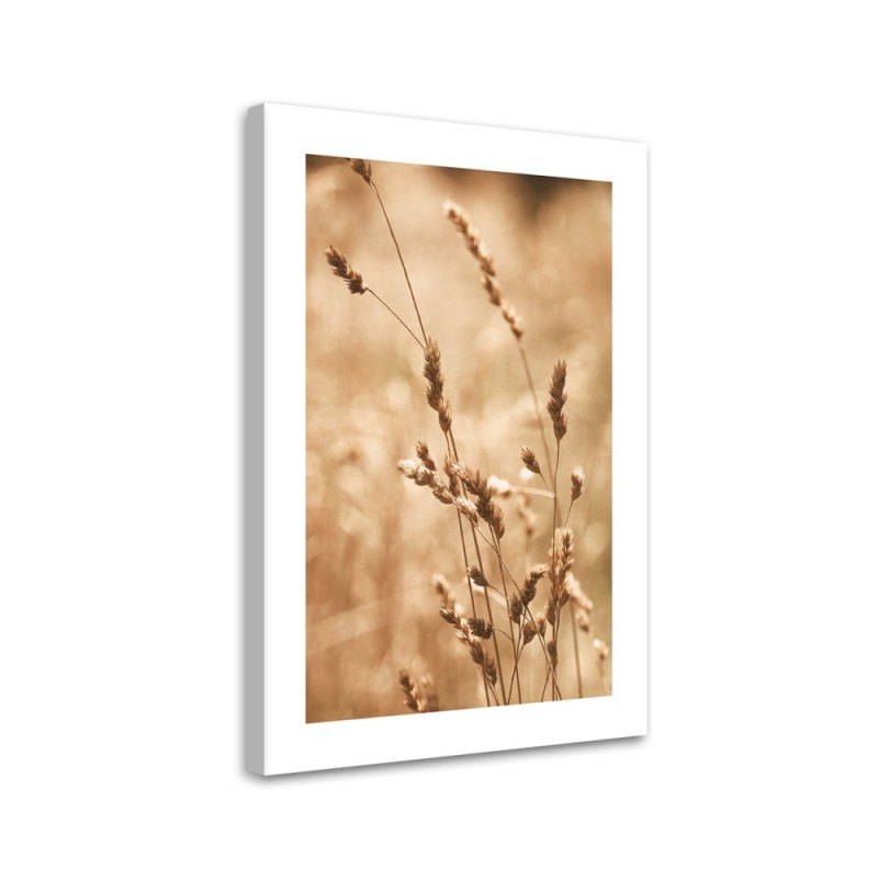 Modernes Wandbild - Gras Natur Wiese | Feeby