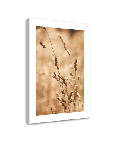 Modernes Wandbild - Gras Natur Wiese | Feeby