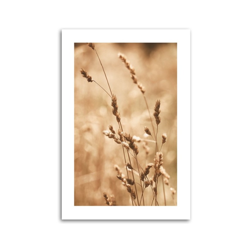Modernes Wandbild - Gras Natur Wiese | Feeby