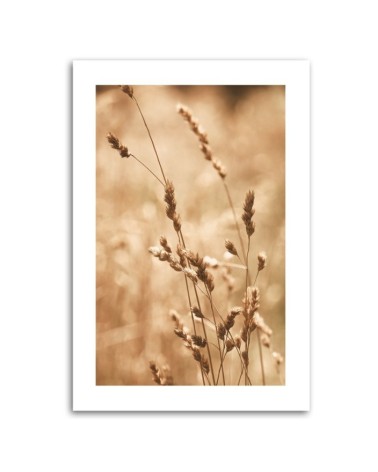 Modernes Wandbild - Gras Natur Wiese | Feeby