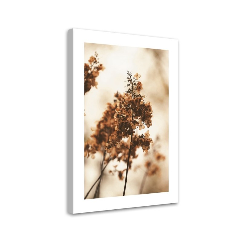 Dekoratives Leinwandbild - Getrocknete Hortensienblüte | Feeby