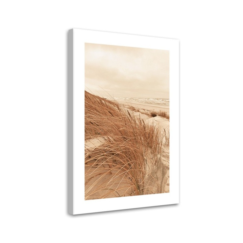 Bild auf Leinwand - Goldenes Dünengras | Feeby