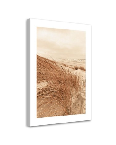 Bild auf Leinwand - Goldenes Dünengras | Feeby