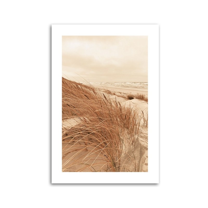 Bild auf Leinwand - Goldenes Dünengras | Feeby