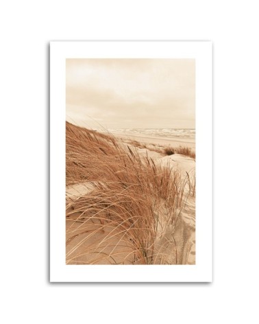 Bild auf Leinwand - Goldenes Dünengras | Feeby