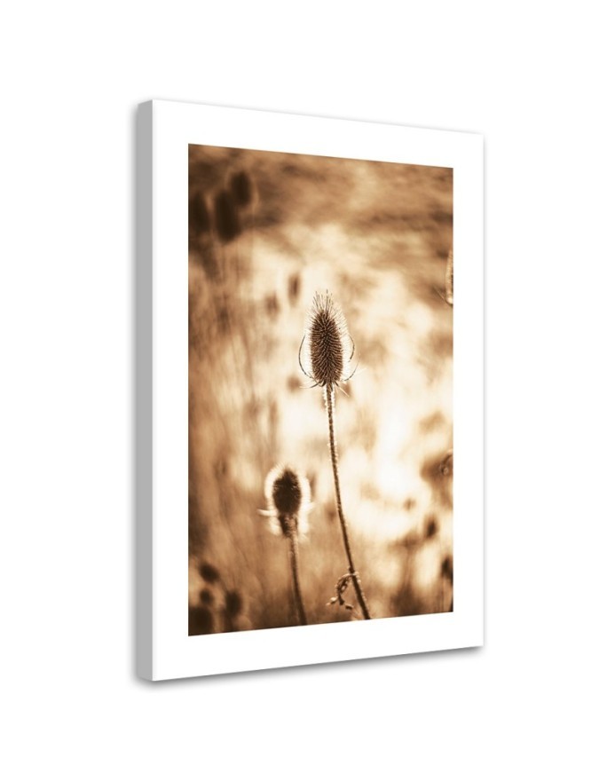 Leinwandbild - Getrocknete Pflanzen | Feeby