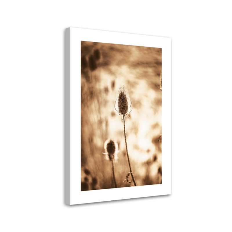 Leinwandbild - Getrocknete Pflanzen | Feeby