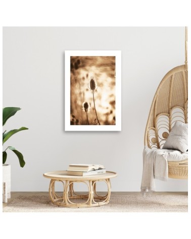 Leinwandbild - Getrocknete Pflanzen | Feeby