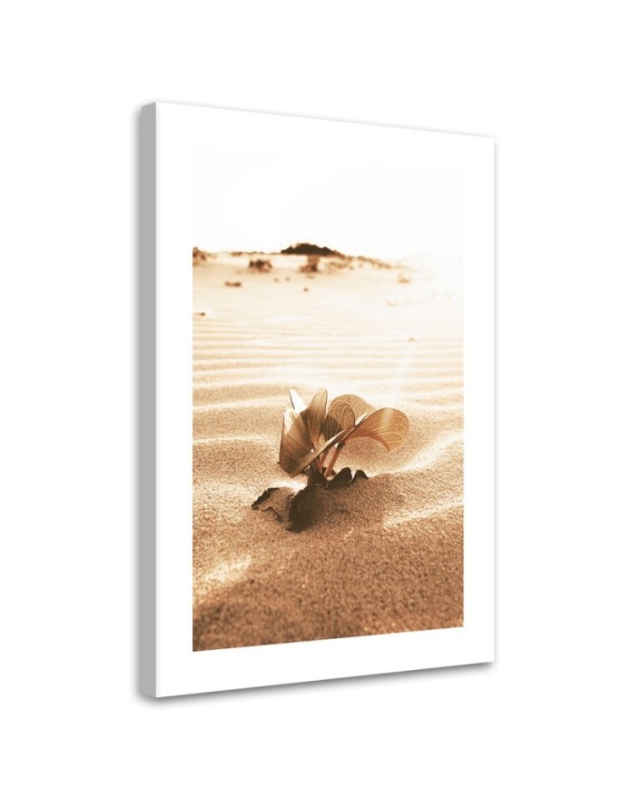 Bild auf Leinwand - Blume in der Wüste | Feeby