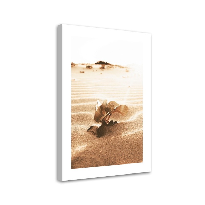Bild auf Leinwand - Blume in der Wüste | Feeby
