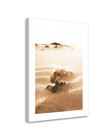 Bild auf Leinwand - Blume in der Wüste | Feeby