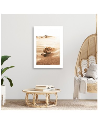Bild auf Leinwand - Blume in der Wüste | Feeby
