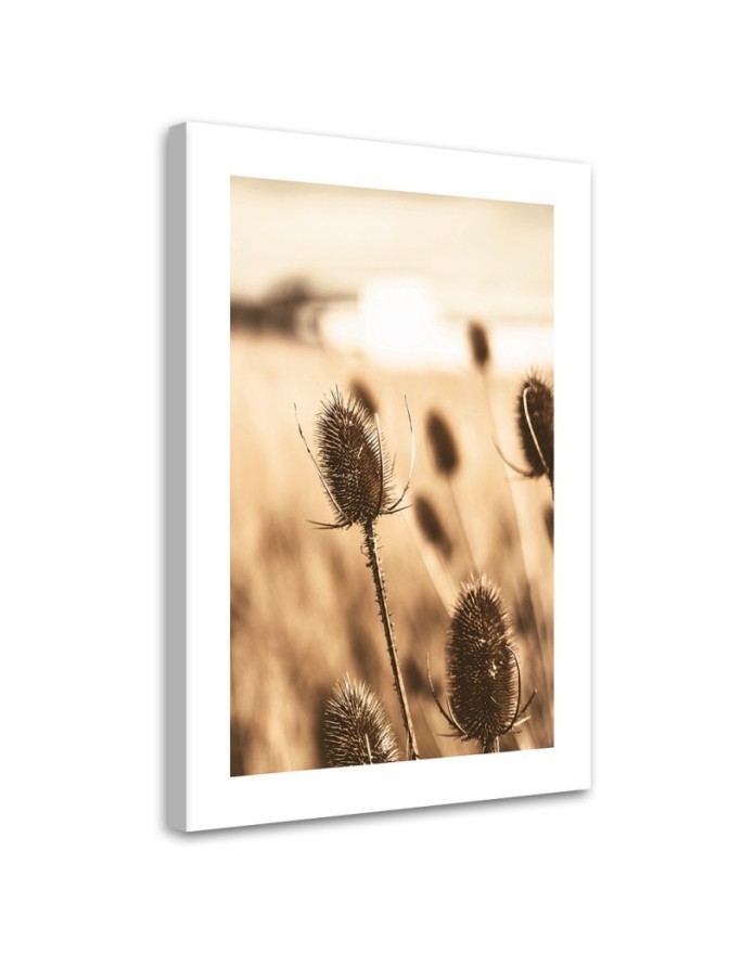 Modernes Wandbild - Getrocknete Teestrauchblüte | Feeby