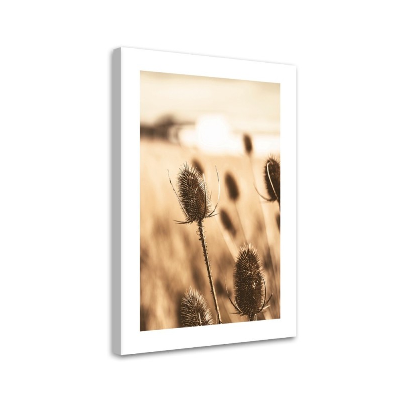 Modernes Wandbild - Getrocknete Teestrauchblüte | Feeby