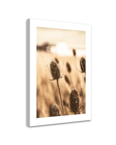 Modernes Wandbild - Getrocknete Teestrauchblüte | Feeby