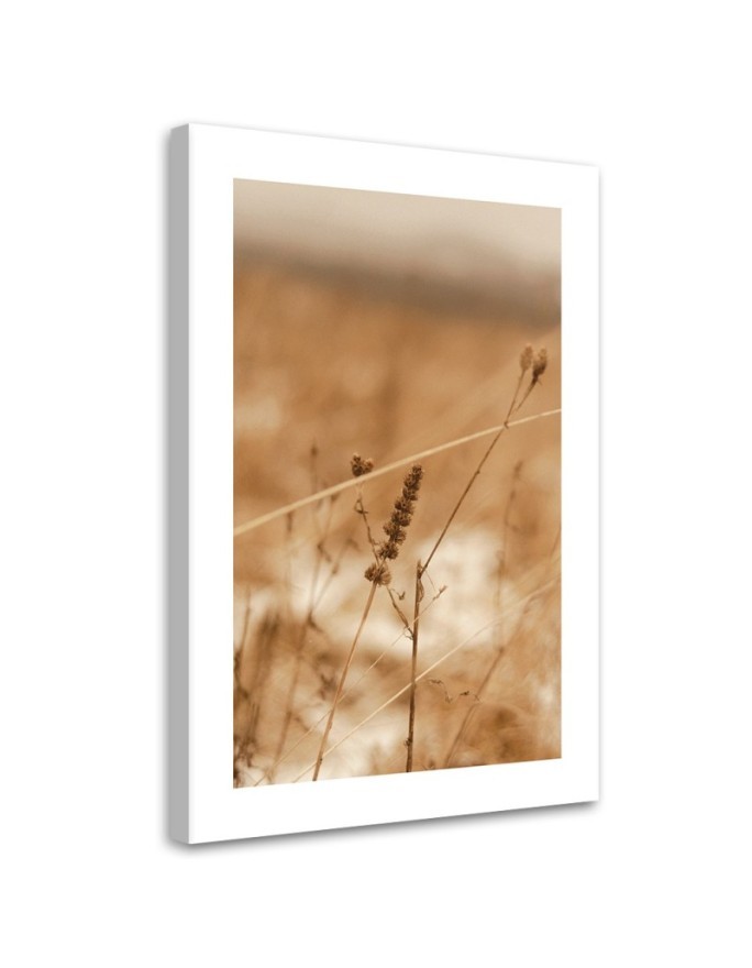 Leinwandbild - Zartes Boho-Gras | Feeby