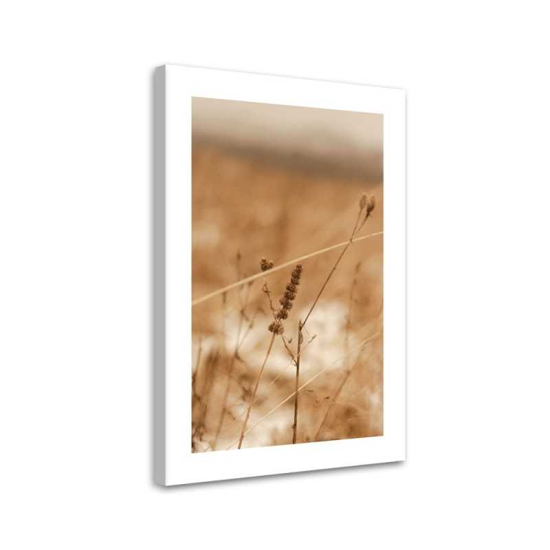 Leinwandbild - Zartes Boho-Gras | Feeby