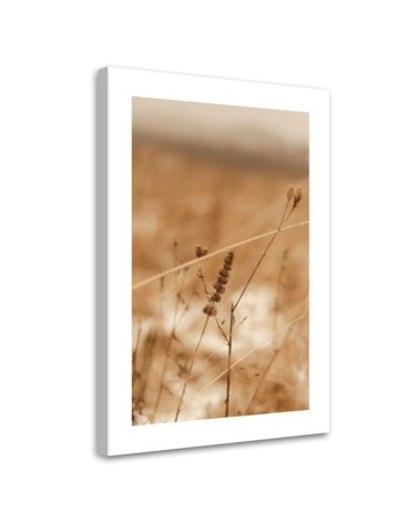 Leinwandbild - Zartes Boho-Gras | Feeby