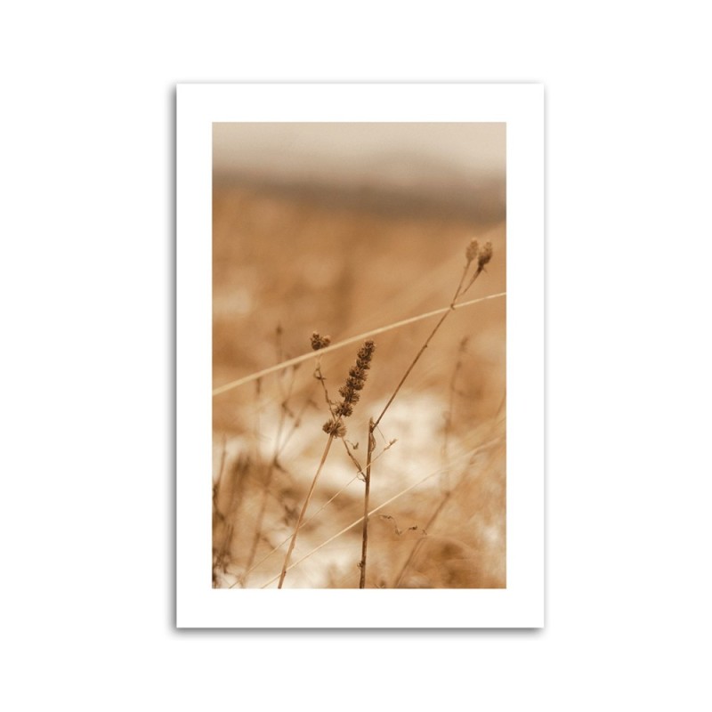 Leinwandbild - Zartes Boho-Gras | Feeby