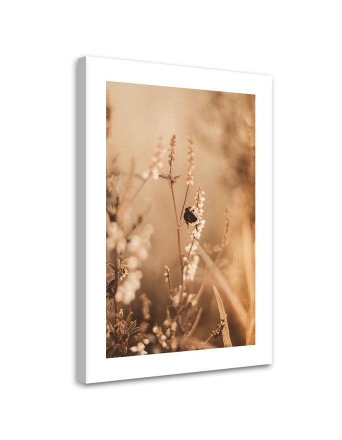 Leinwandbild - Beigefarbene Blumen auf dem Feld | Feeby