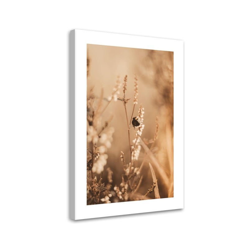 Leinwandbild - Beigefarbene Blumen auf dem Feld | Feeby